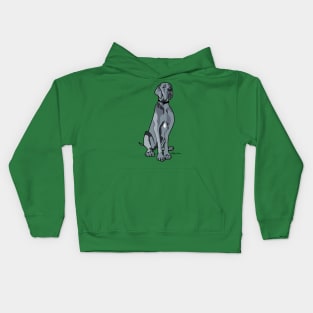 Coby Kids Hoodie